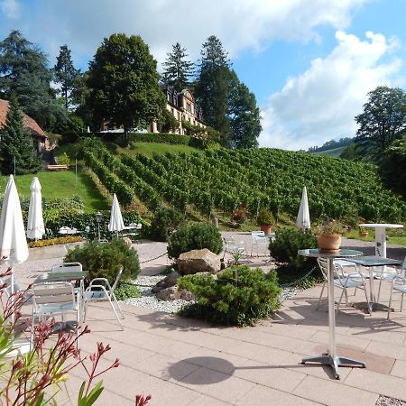 Wein Lodge Durbach - Gruppenhaus Weingut Neveu Dış mekan fotoğraf